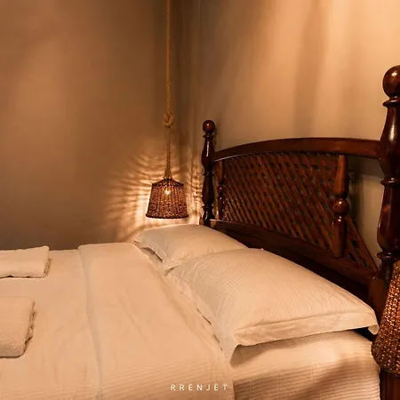 Rrenjet - The Roots 4*