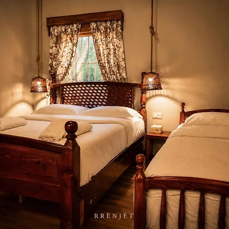 Rrenjet - The Roots